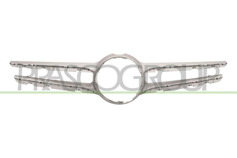 Trim/Protective Strip, radiator grille