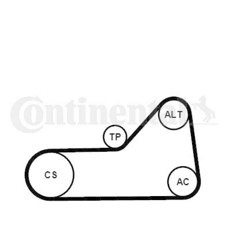 CONTINENTAL CTAM Water Pump + V-Ribbed Belt Kit