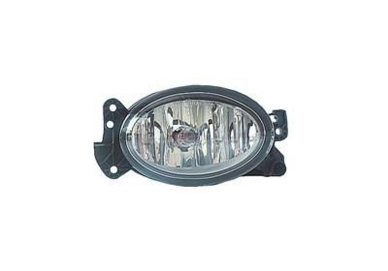 VAN WEZEL Fog Light