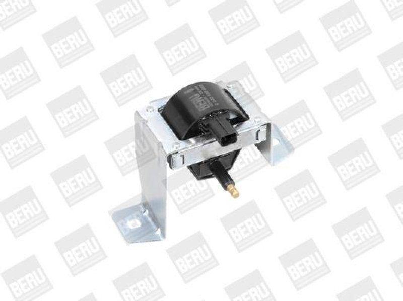 BorgWarner (BERU) Ignition Coil