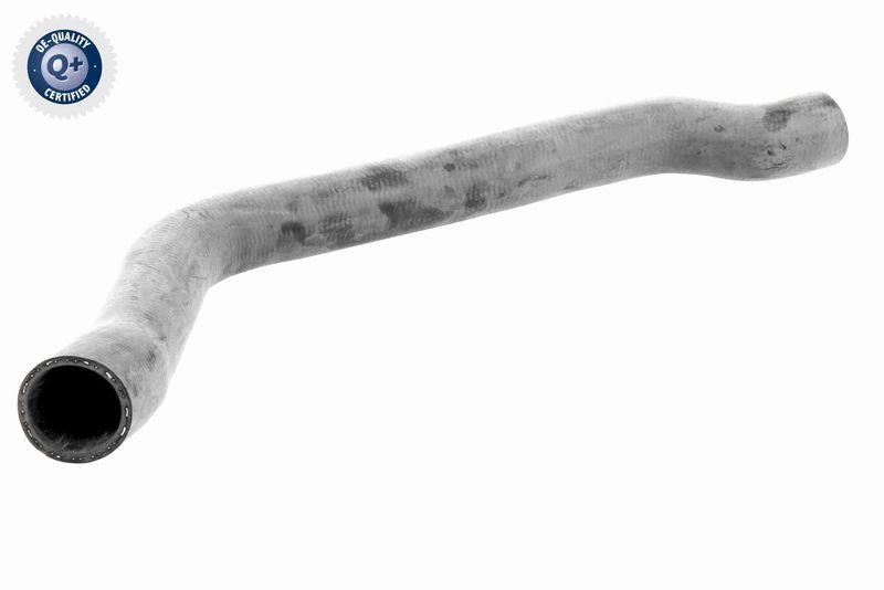 VAICO K&uuml;hlerschlauch Q+, Erstausr&uuml;sterqualit&auml;t V20-2607