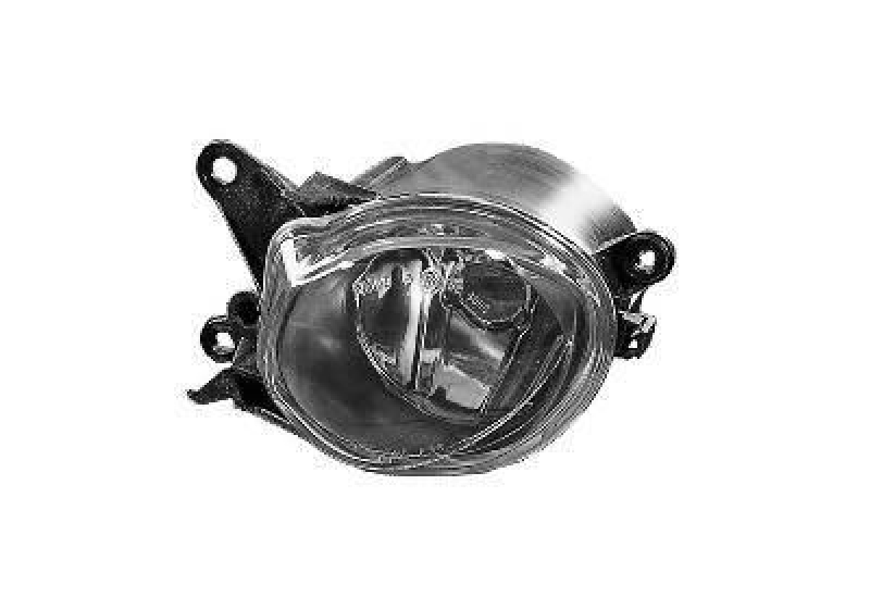 VAN WEZEL Fog Light