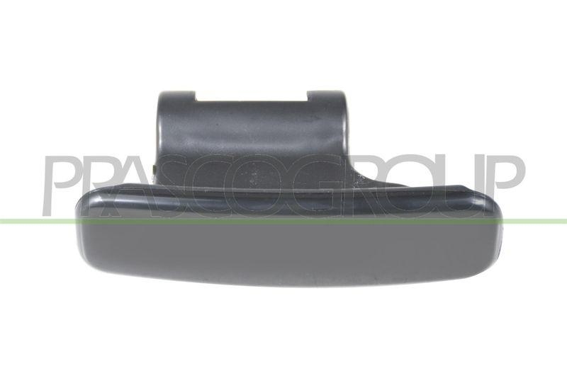 PRASCO Door Handle