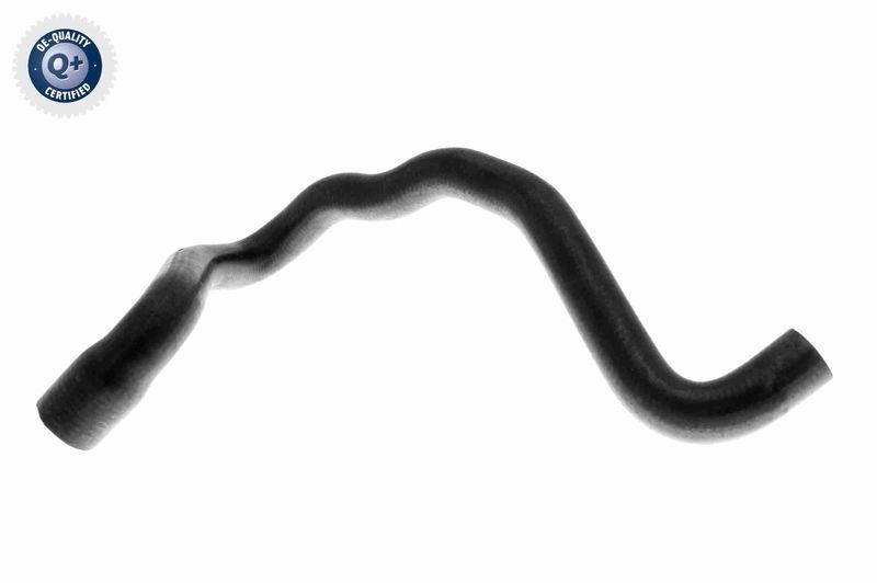 VAICO Radiator Hose Green Mobility Parts