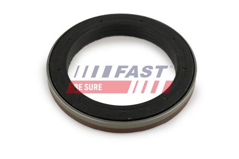 FAST Wellendichtring, Differential