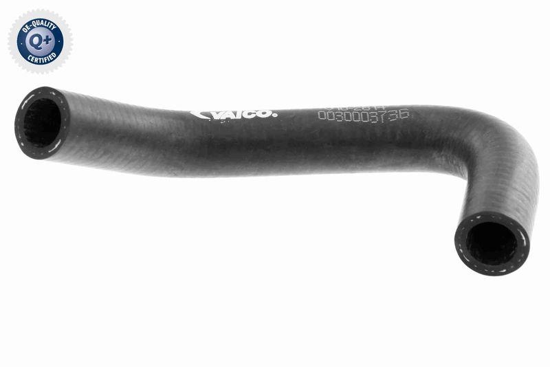 VAICO Radiator Hose Q+, original equipment manufacturer quality