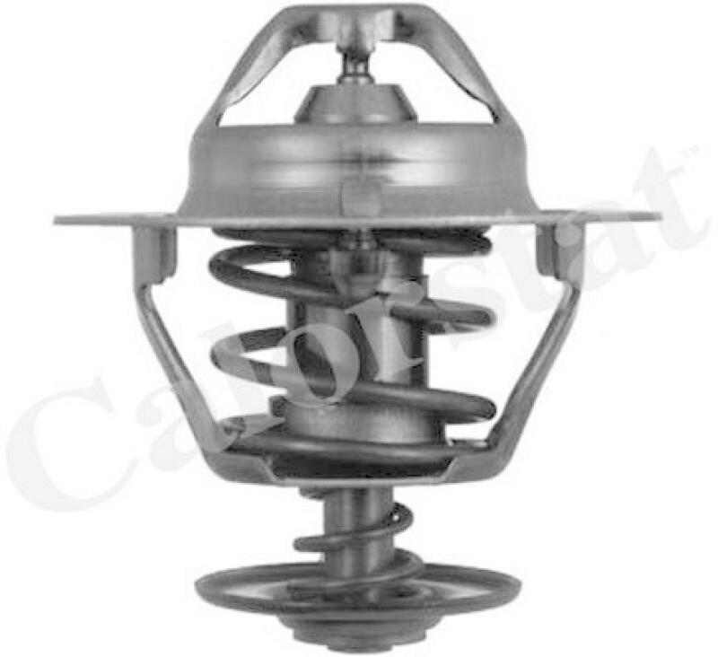CALORSTAT by Vernet Thermostat, coolant