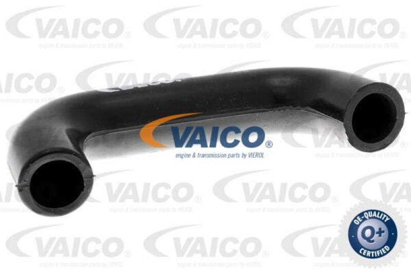 VAICO Hose, air supply Q+, original equipment manufacturer quality