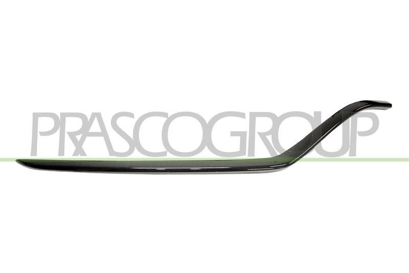Trim/Protective Strip, radiator grille
