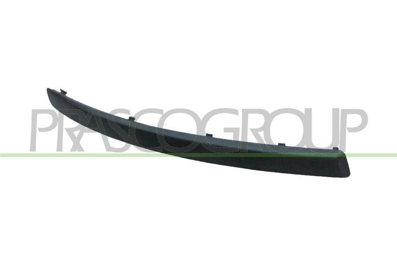 Trim/Protective Strip, bumper Premium