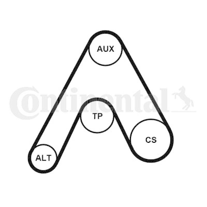 CONTINENTAL CTAM Keilrippenriemensatz