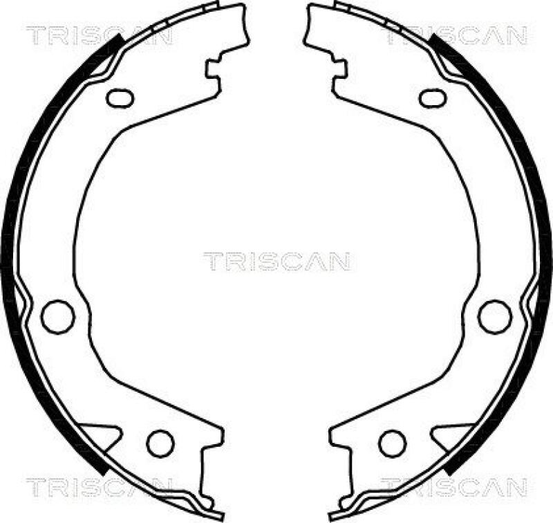 TRISCAN Brake Shoe Set, parking brake