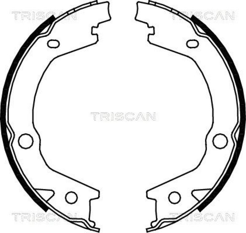 TRISCAN Bremsbackensatz, Feststellbremse