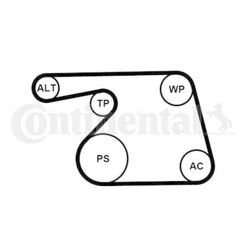 CONTINENTAL CTAM Water Pump + V-Ribbed Belt Kit