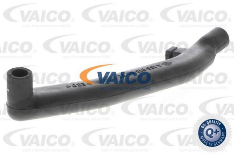 VAICO Hose, air supply Q+, original equipment manufacturer quality MADE IN GERMANY