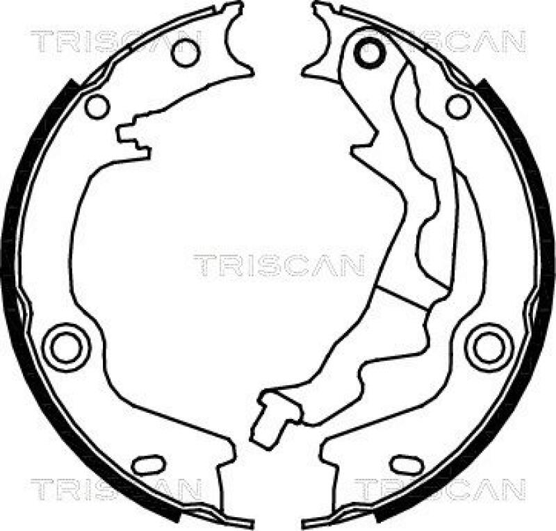 TRISCAN Brake Shoe Set, parking brake
