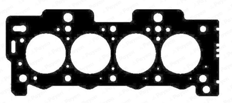 PAYEN Gasket, cylinder head