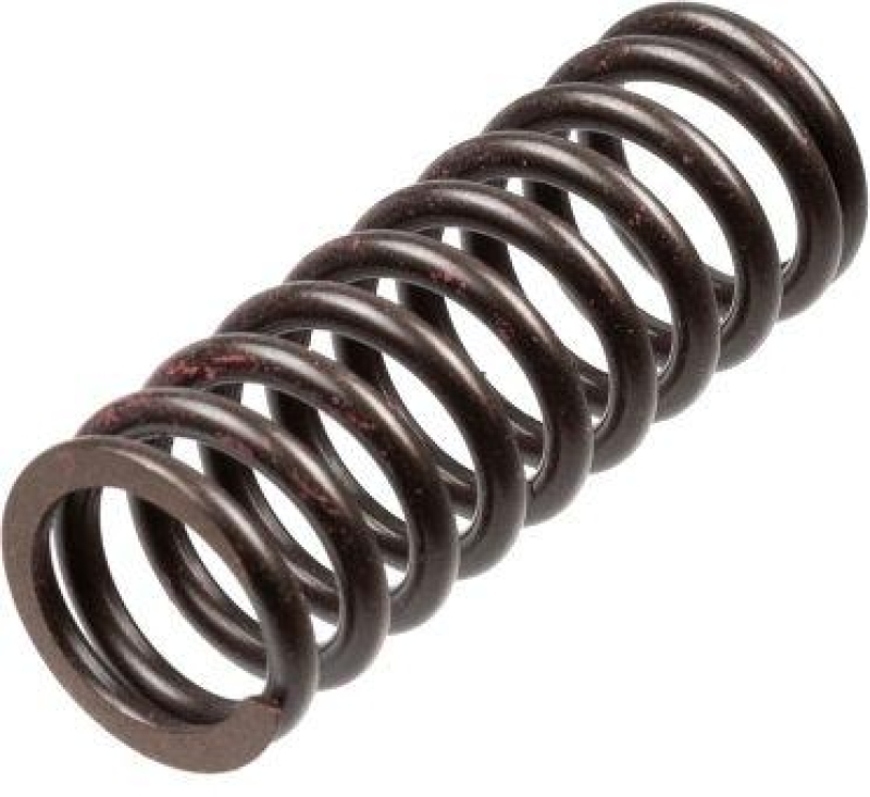 TRW Clutch Spring Set
