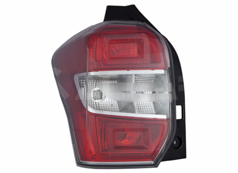 Combination Rear Light