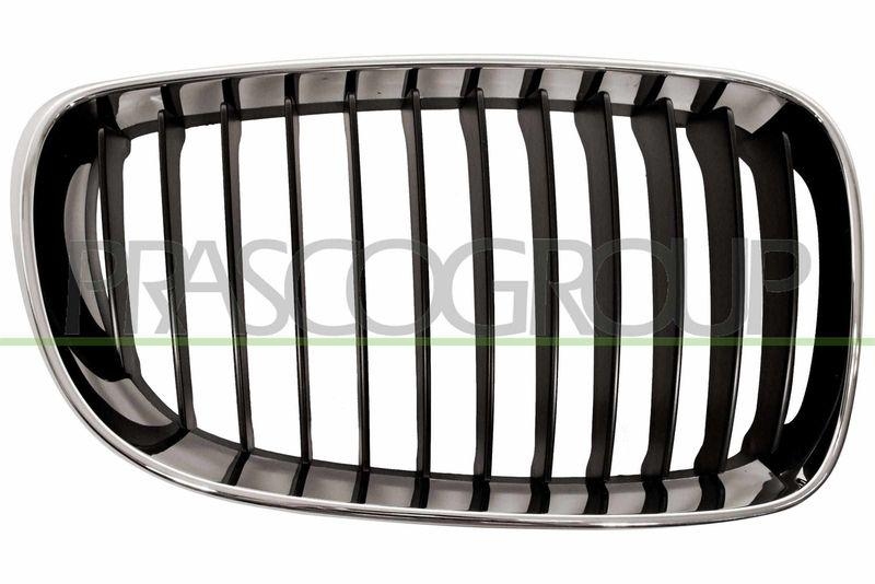 Radiator Grille Premium