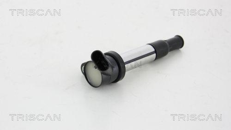 TRISCAN Ignition Coil