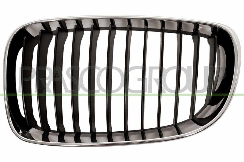 Radiator Grille Premium