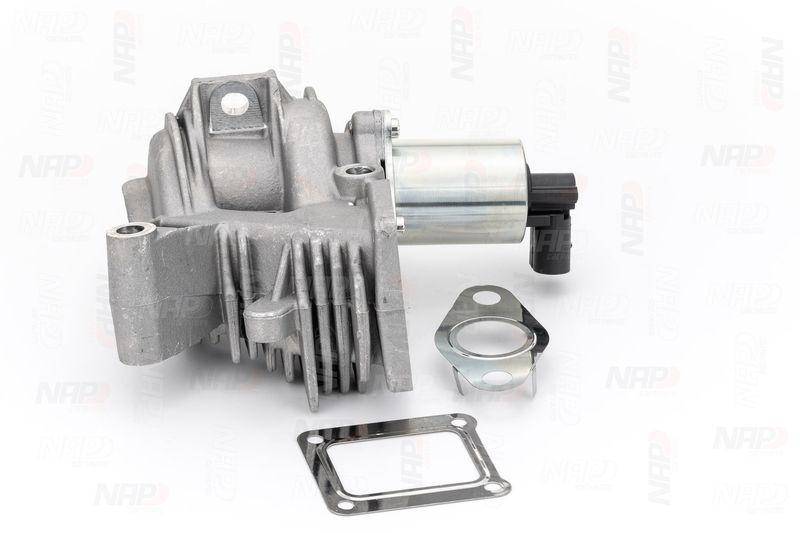 NAP carPARTS AGR-Ventil