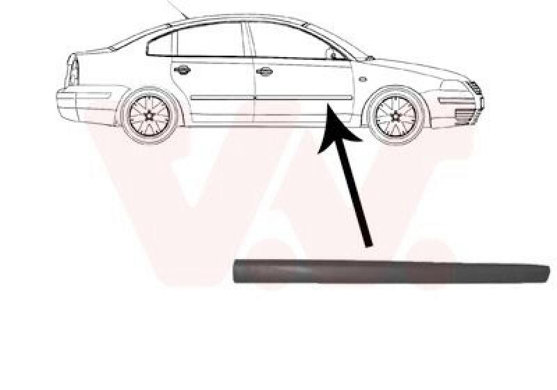 VAN WEZEL Trim/Protective Strip, door