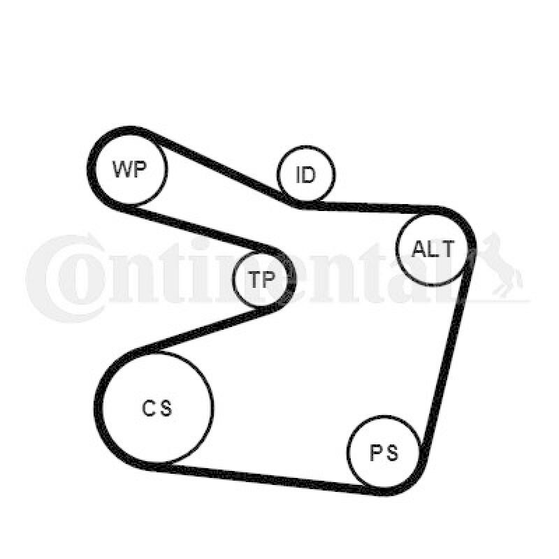 CONTINENTAL CTAM Wasserpumpe + Keilrippenriemensatz