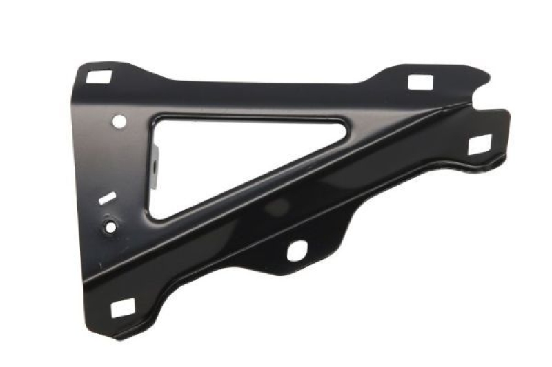 BLIC Mounting, wing holder