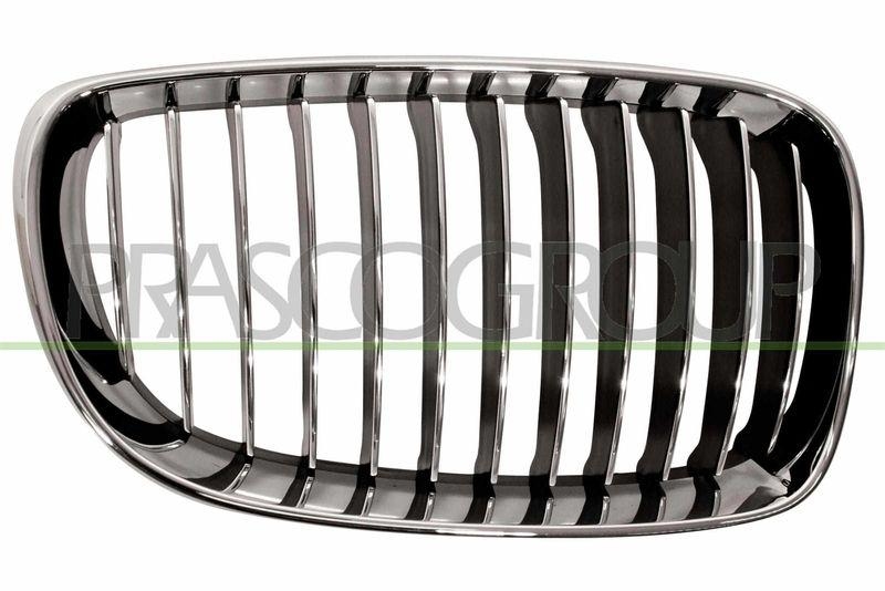 Radiator Grille