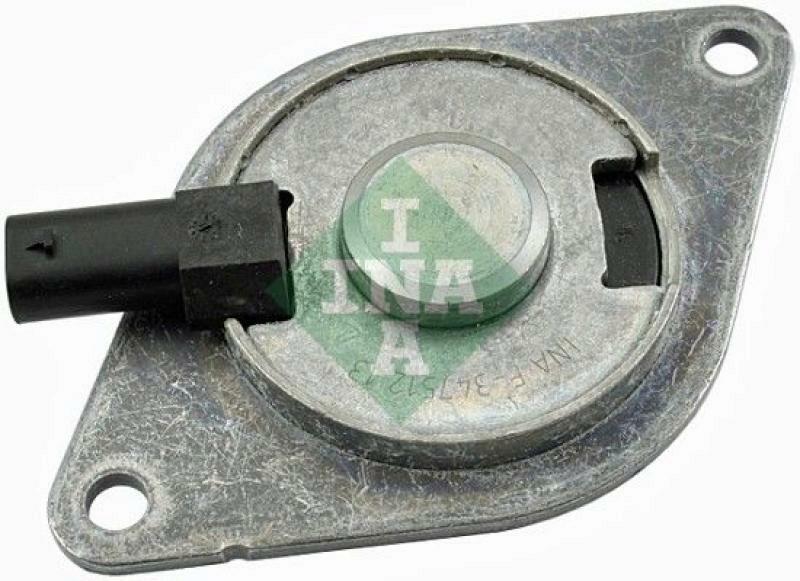 INA Central Magnet, camshaft adjustment