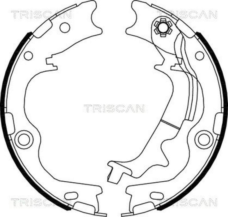 TRISCAN Brake Shoe Set, parking brake