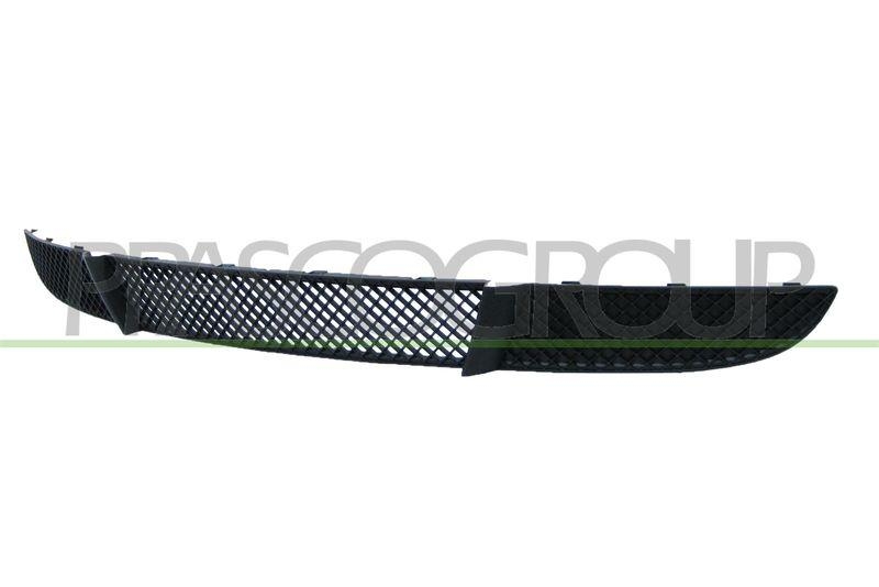 Ventilation Grille, bumper Premium