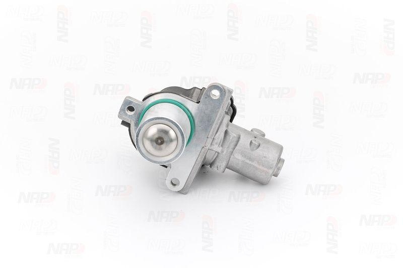 NAP carPARTS AGR-Ventil