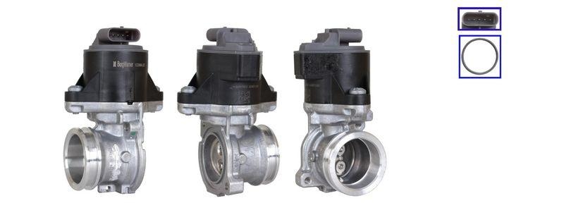 DRI EGR Valve