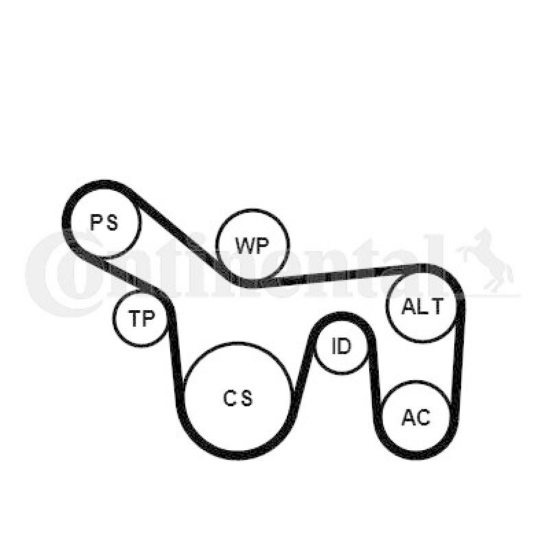 CONTINENTAL CTAM Wasserpumpe + Keilrippenriemensatz