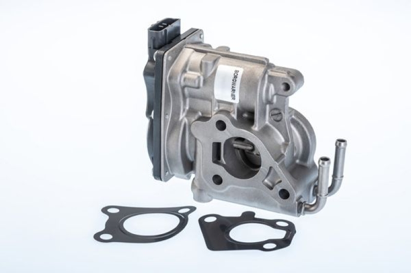 BorgWarner (Wahler) AGR-Ventil