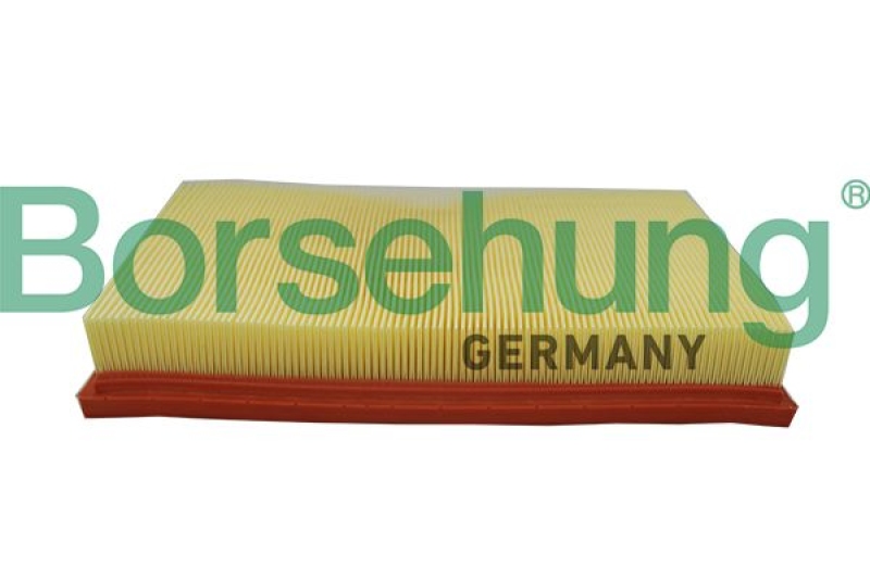 Borsehung Air Filter