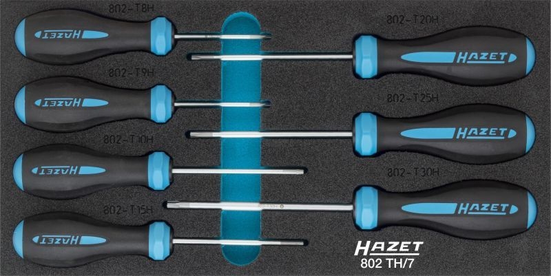 HAZET Screwdriver Set