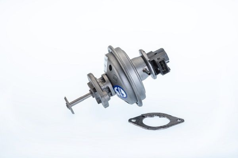 BorgWarner (Wahler) AGR-Ventil 710970R