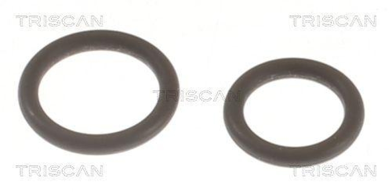 TRISCAN Seal Kit, injector nozzle