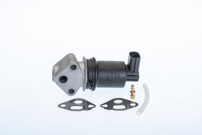 BorgWarner (Wahler) AGR-Ventil