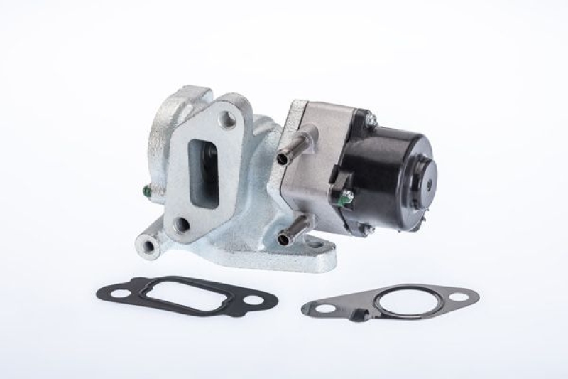 BorgWarner (Wahler) EGR Valve