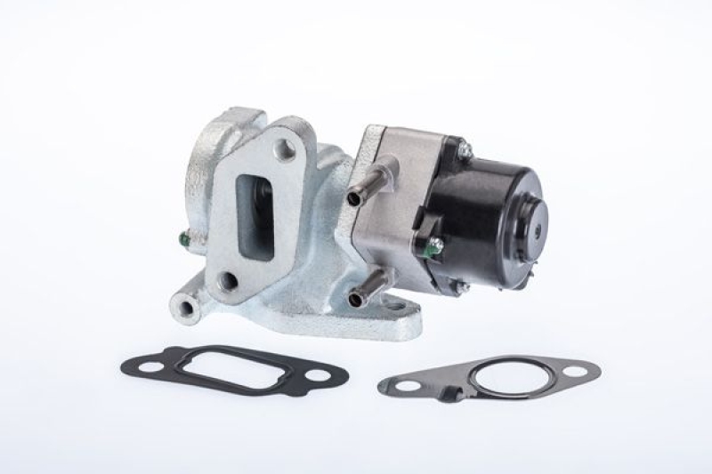 BorgWarner (Wahler) AGR-Ventil