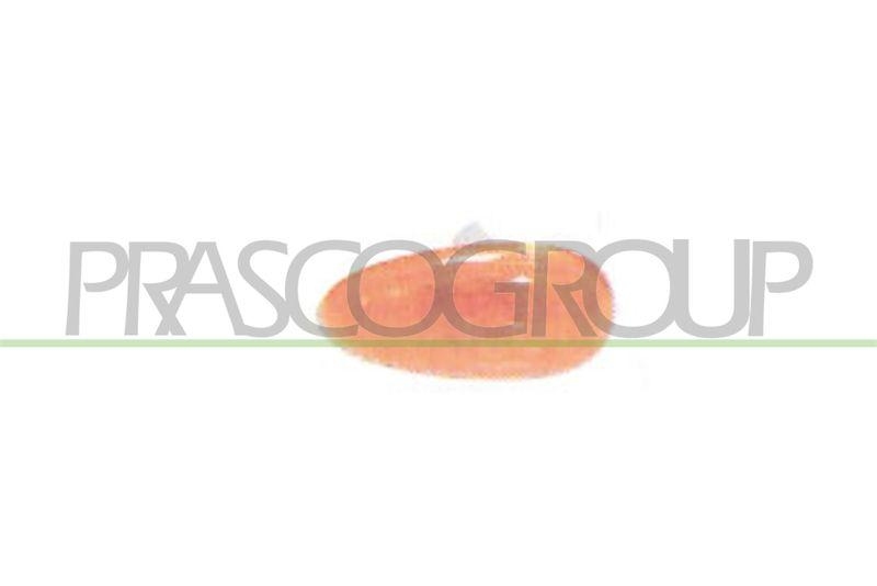 PRASCO Blinkleuchte Blinker DW0204039
