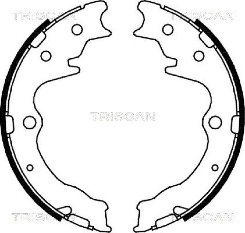 TRISCAN Brake Shoe Set, parking brake
