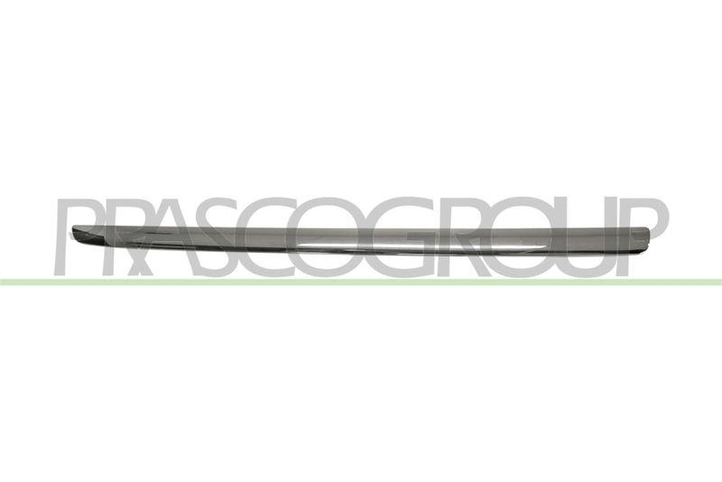 Trim/Protective Strip, radiator grille
