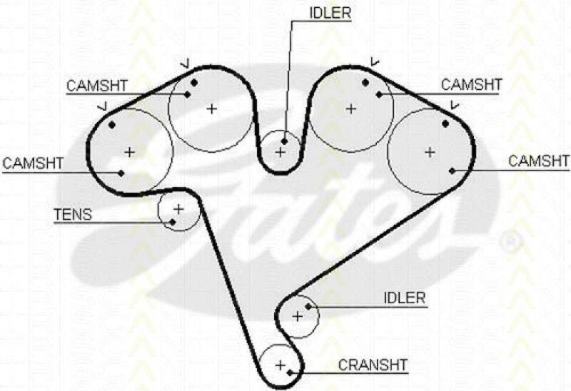 TRISCAN Timing Belt