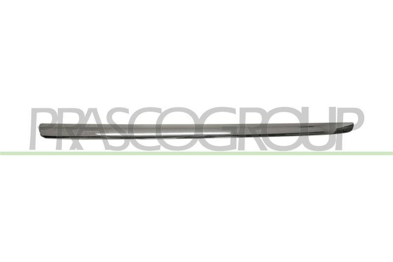 Trim/Protective Strip, radiator grille